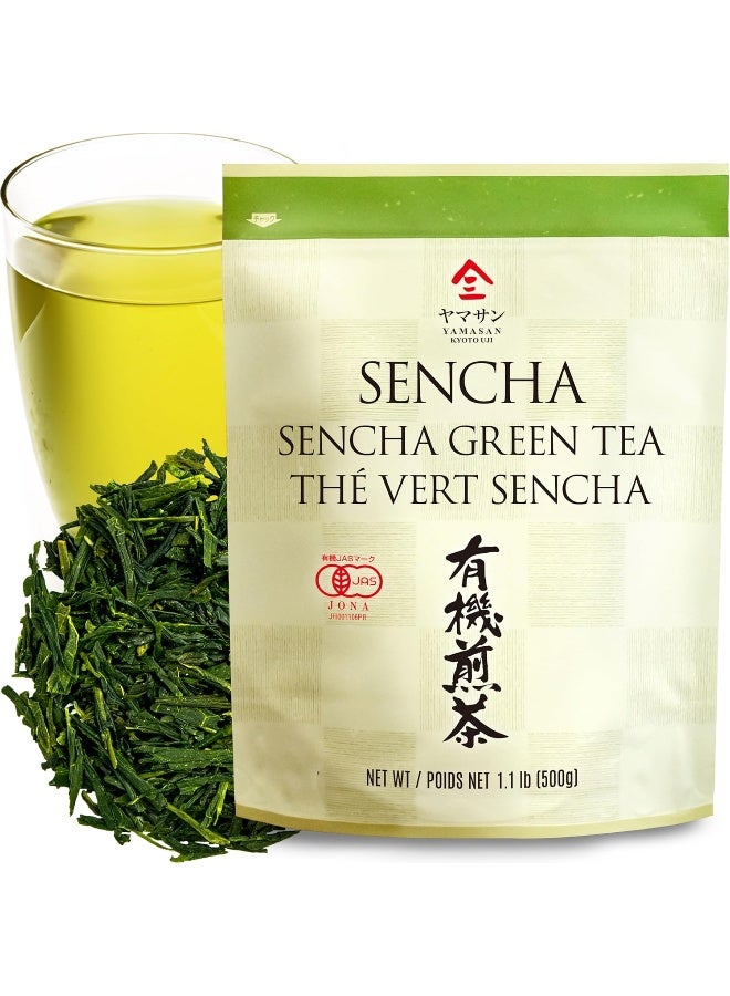 chaganju Organic Sencha Green Tea Loose Leaf - 500g - Image 1